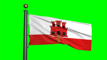 Gibraltar flag - Waving flag Green Screen | Motion background | 4K UHD | Royalty Free