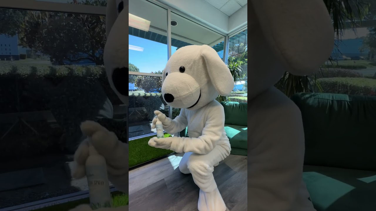 How do you clean and maintain your Fresh Patch grass? 🌱