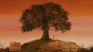 L'Arbre au cinéma  Blow up  ARTE