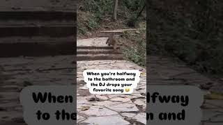 DJ Drop 🐵 #dj #rave #dance #music #trending #viralshorts #memes #housemusic #viralvideo #funny #fyp