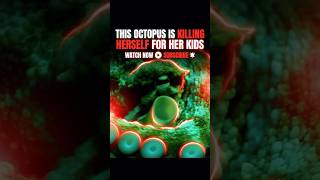 Why Mother octopus who Sacrifices Herself… 🐙💔  | #shorts
