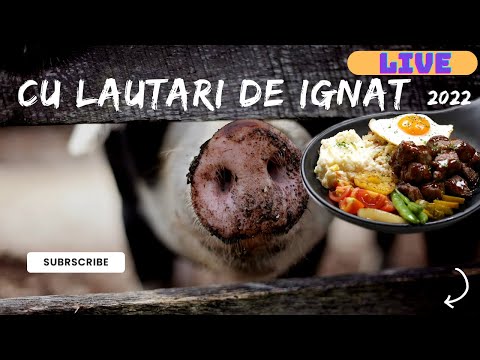 Cover Cu lautarii de Ignat.Muzica de petrecere si sprit