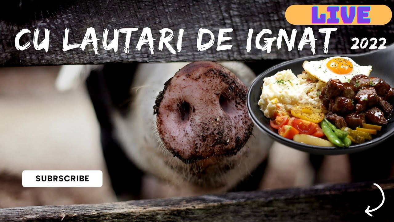 Cover Cu lautarii de Ignat.Muzica de petrecere si sprit