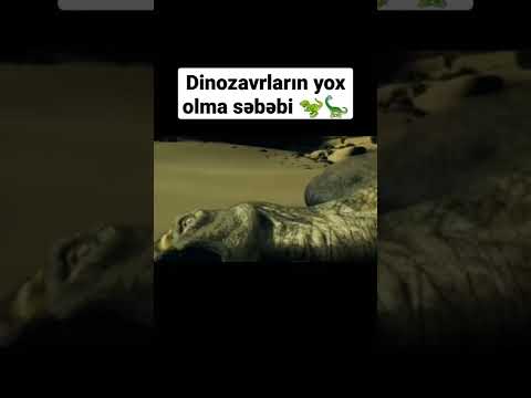 Video: Dinozavrların nəsli nə vaxt yox oldu?
