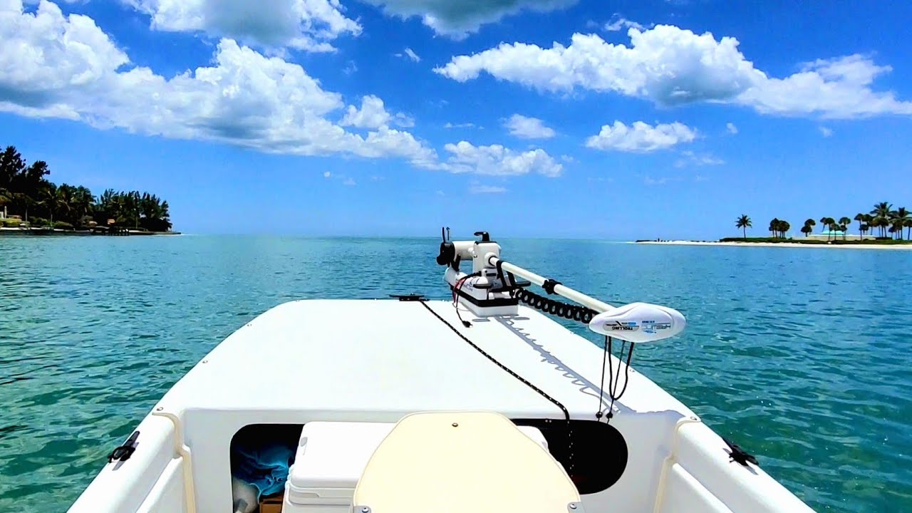 tour boat siesta key