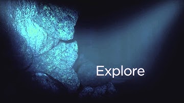 DRI OCT Triton - Swept Source OCT