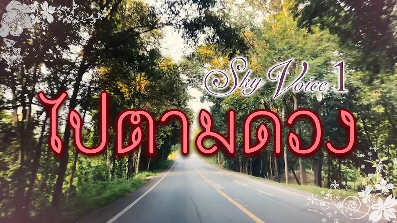 ไปตามดวง - SKY VOICE [ Official Audio ]