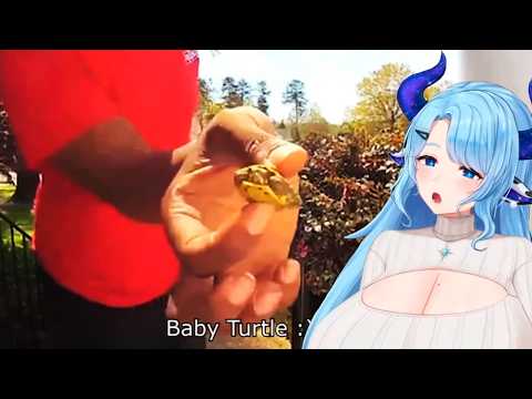 Milky Mommy Reacts To Daily Dose Of Internet |Best Human Moments Caught on Camera