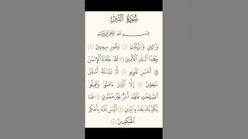 سورة التين | #comedy#اكسبلور #دويتو#motivation #duet #vlog #تيك_توك #لايك #المصحف #حالات_واتس#quran