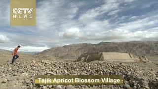 Travelogue with Tajik people: Modern life in Xinjiang’s rocky mountains