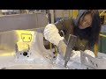 Aluminum Innovations in Car Manufacturing