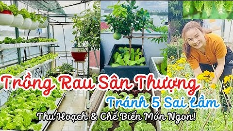 Full Video Hướng Dẫn Trồng Rau Sân Thượng: Tránh Sai Lầm, Lịch Trồng & Chăm Sóc Hiệu Quả.