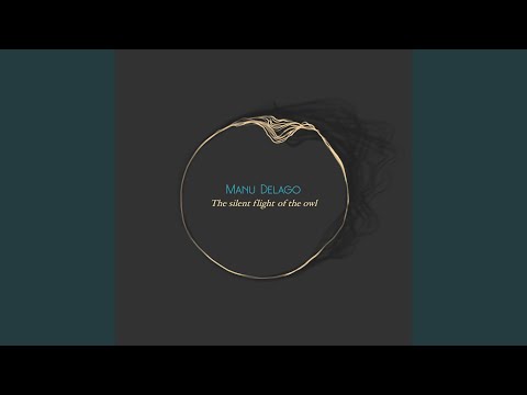 Manu Delago — The Silent Flight of the Owl