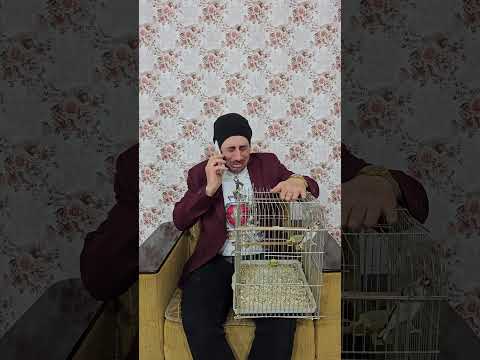 البسة اكلت العصفور  