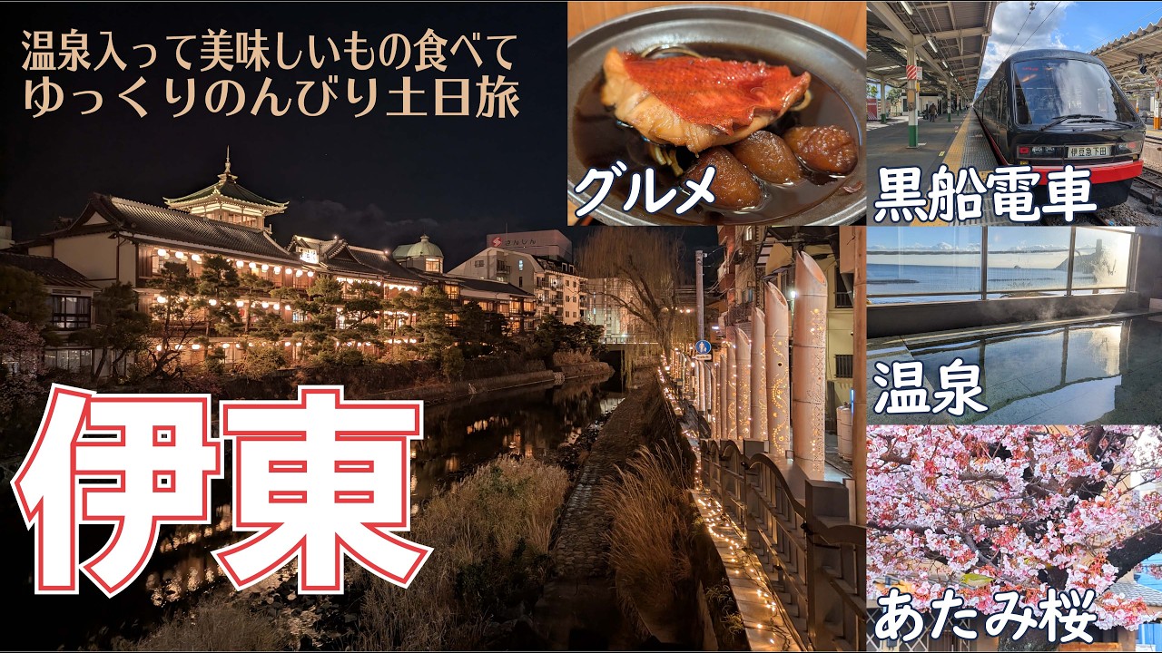 【列車とバスだけで移動する旅/土日1泊で伊東温泉ひとり旅】2026年1月末、温泉と日本一早咲きのあたみ桜を楽しむ旅をしてきました。