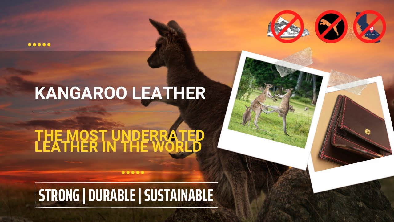 Kangaroo Leather | The Most Underrated Leather in The World - YouTube