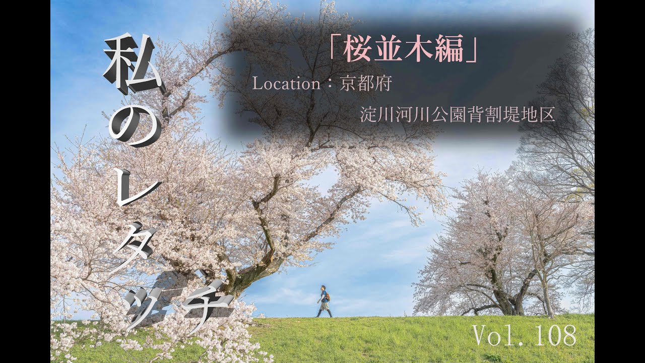 Vol 108 「私のレタッチ」 桜並木編（location：京都府 淀川河川
