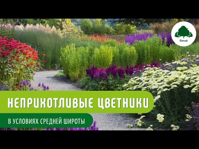 Мир сада на Gardenia.ru