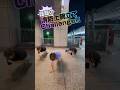 話題の体幹トレーニング!!色んな人とやってみる #pushupchallenge #体幹トレーニング #fitness