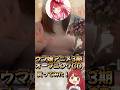 【実写】ウマ娘アニメ3期オープニングCD買って開封式してみた！ #vtuber #女性実況 #ウマ娘プリティーダービー #shorts #ウマ娘 #実写 #ソシテミンナト #アニメ #CD
