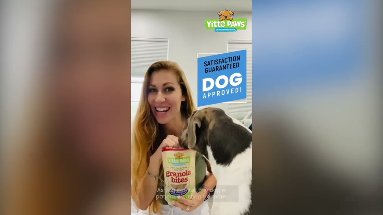 Yitto Paws Blueberry organic, human grade dog treats have more fruit & peanut butter than top brands