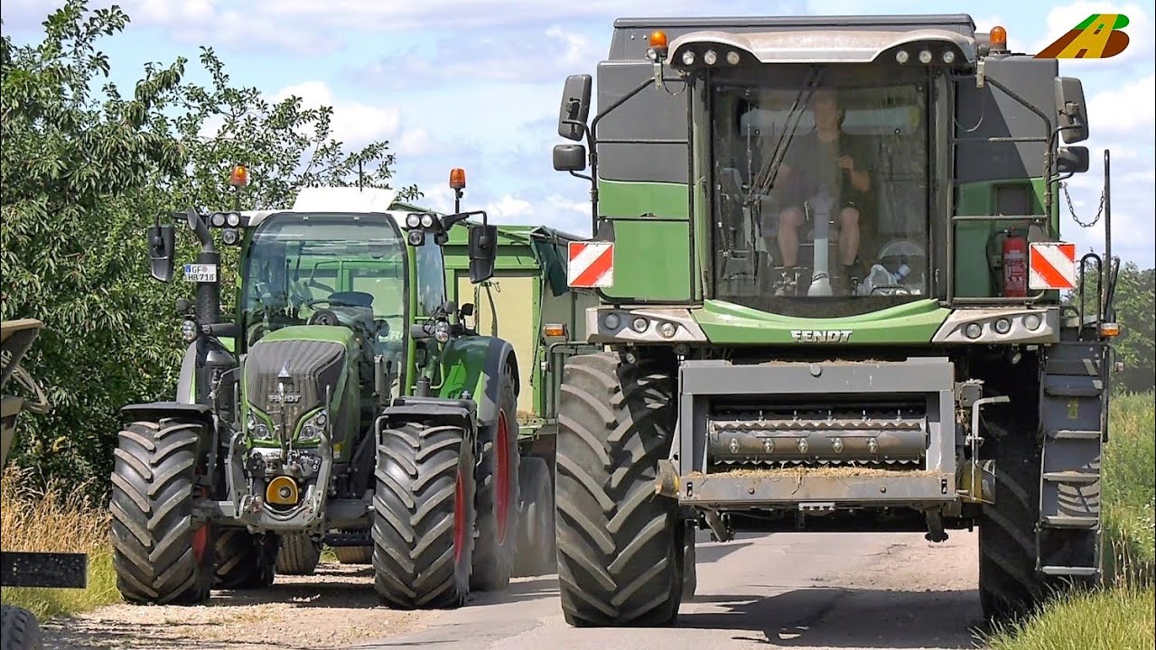 Grasernte - Gras Saatgut Landwirtschaft Mähdrescher Fendt Combine Harvester Traktor Grass Harvest