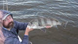 Summer Redfish on Fly With Friends