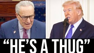 Sen. Schumer CALLS TRUMP A THUG As DEMOCRACY CRUMBLES 