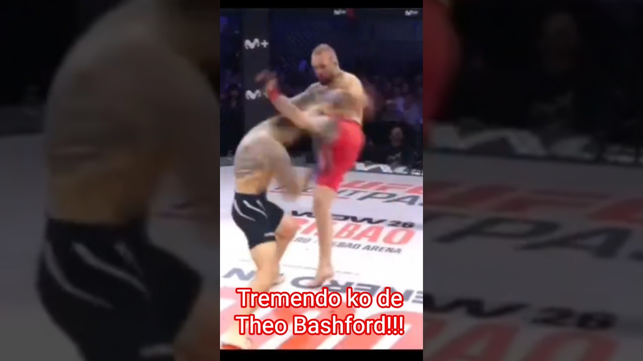 Tremendo ko de Theo Bashford en 