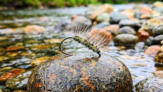 Crackleback attractor dry fly pattern. How to tie. Fly tying tutorial. 
