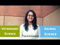 Veterinary science and animal science  the difference  which one to choose  vet visit