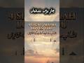 4 Signs Allah Loves You ❤️ | Must Watch #shorts #islamicshorts #islamicreminder #trendingshorts