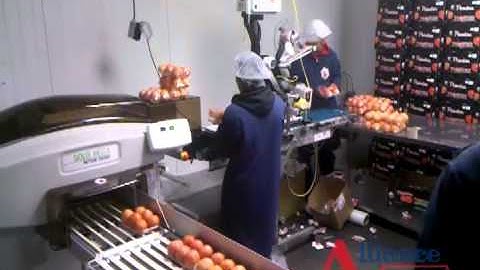 Automatic Labeling System from Alliance Scale