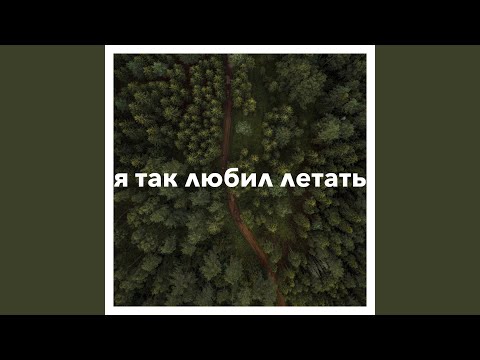 Oleg Petrenko - А я так любил летать, Pt. 2