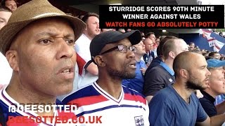 Sturridge scores last minute goal vs Wales | Fans go POTTY !!!!!!