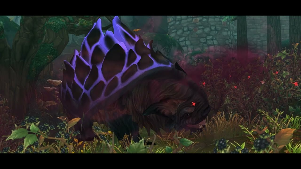 Elég volt a erdőből...🍂{2.rész}-SSO