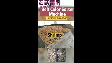 Belt type ccd camera shrimp color sorter machine