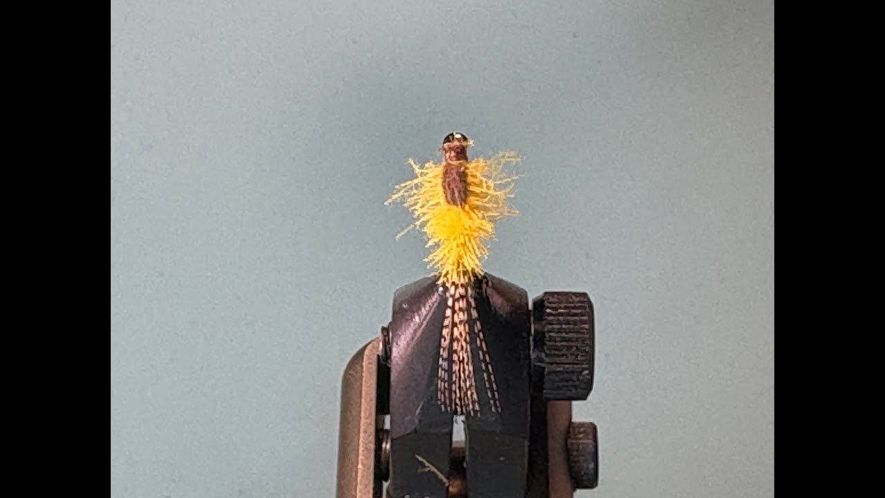 Fly Tying a Floating CDC Sulphur Mayfly Nymph
