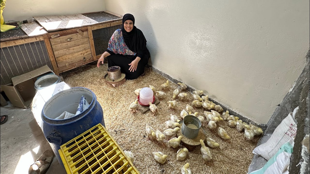 اللى ربنا راضى عليه يشوط الدنيا برجليه  عشت وشفت بيتى الجديد بالخير عمران  شكر لله واحده 