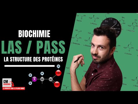 Vidéo: Quelle unité biochimique code une seule protéine ?