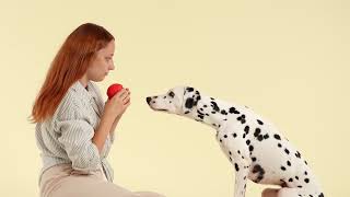 Play by Playology Pinecone Dog Toy