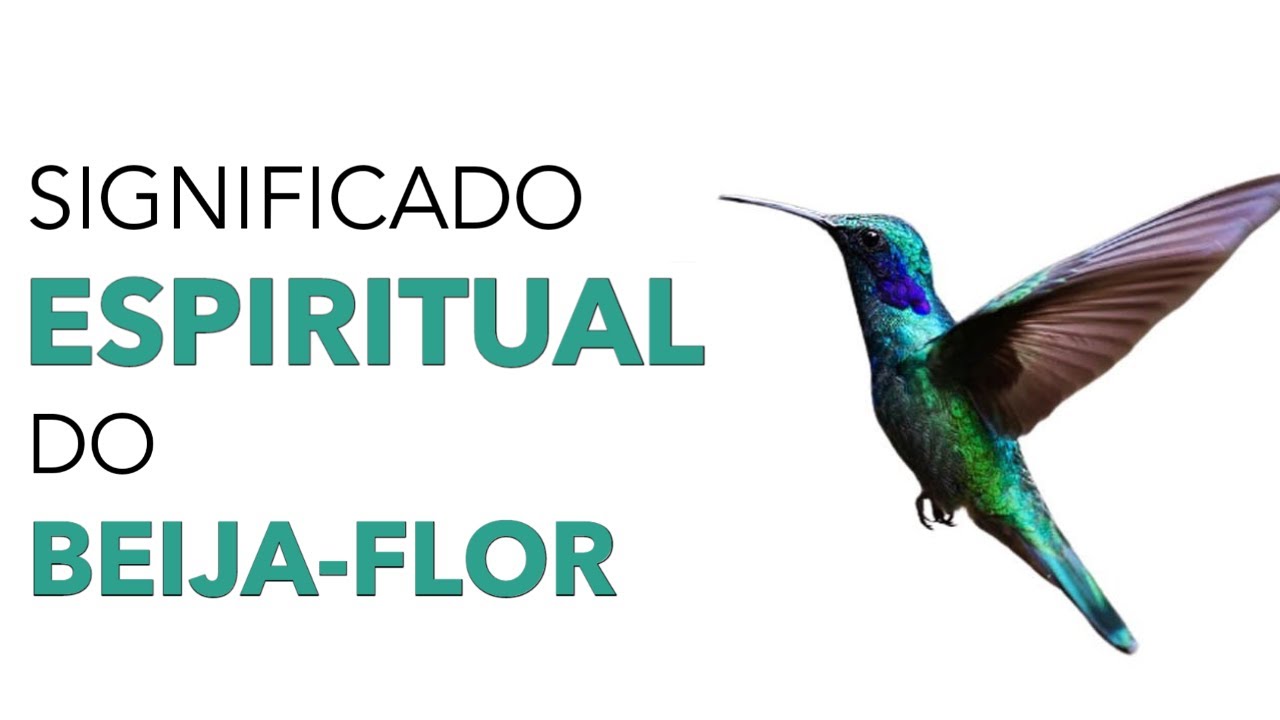 O Significado Espiritual Do BeijaFlor YouTube