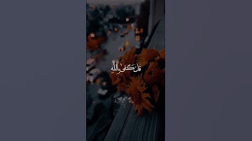 سورة العنكبوت - عبدالرحمن مسعد