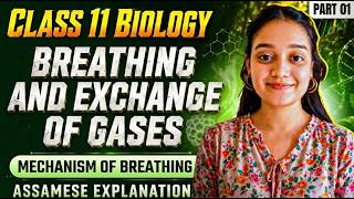 Class 11 Biology in Assamese | Breathing and Exchange of Gases | Let's Approach | Part 03