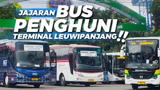 Bus Dari LEUWIPANJANG Tujuan Mana Saja ⁉️ Lihat Daftar Bus Dan Tarifnya Disini