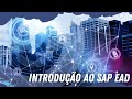 Visualize Dados no SAP | Introdução ao SAP