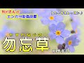 No.76『勿忘草』(川野夏美さん)【Noriさんの1コーラスレッスン】