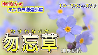 勿忘草 Youtube 勿忘草 Youtube