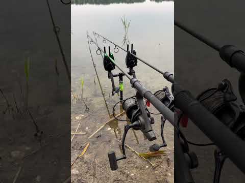 Slow Big Carp