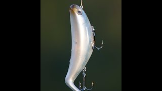 New StutterStep topwater lure by Rat-L-Trap Lures featuring Wesley Higgins